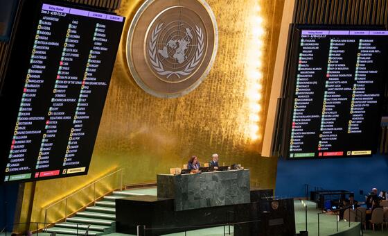 Resolução de apoio à paz duradoura na Ucrânia aprovada na Assembleia Geral da ONU